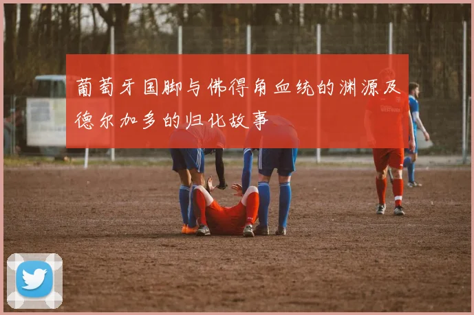葡萄牙国脚与佛得角血统的渊源及德尔加多的归化故事